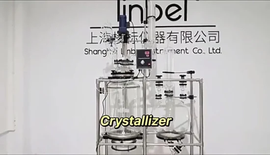 20L 50L 100L 化学実験装置結晶化反応器フィルターガラス反応器ヌッチェフィルター収集ボトル付き